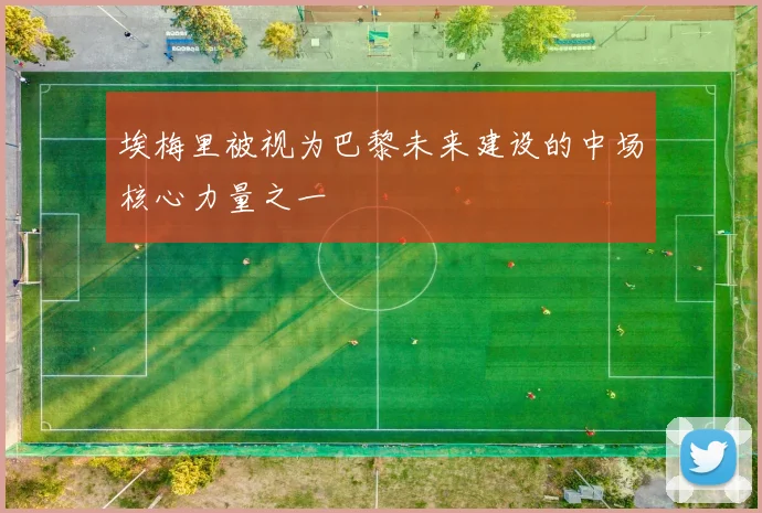 埃梅里被视为巴黎未来建设的中场核心力量之一